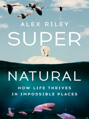 cover image of Super Natural